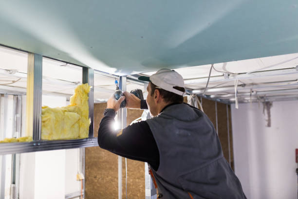Best Cellulose Insulation in Northwoods, MO