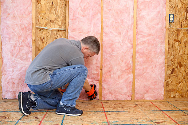 Best DIY Insulation Kits and Guidance in Northwoods, MO
